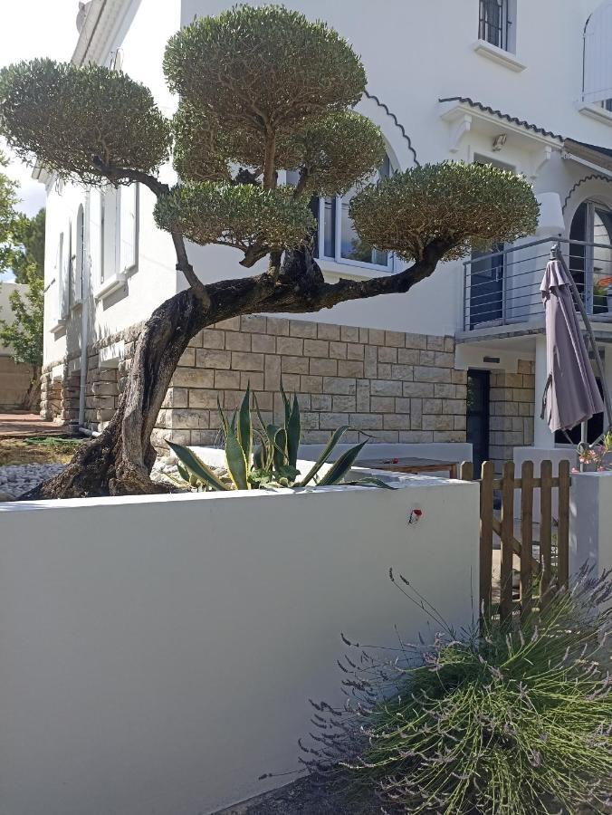 Chambres D'Hotes La Pastourelle Royan Centre Kültér fotó